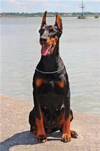 Cute Doberman in a Poppy Flower Field Journal