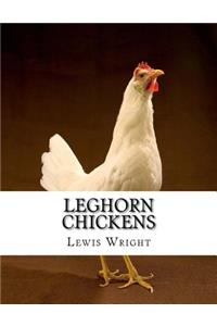 Leghorn Chickens