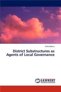 District Substructures as Agents of Local Governance