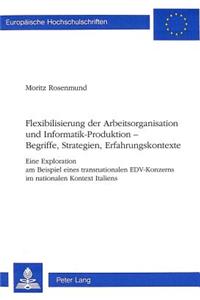 Flexibilisierung Der Arbeitsorganisation Und Informatik-Produktion -- Begriffe, Strategien, Erfahrungskontexte