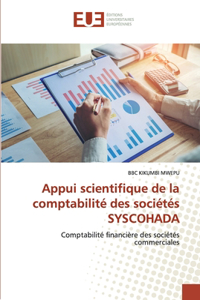 Appui scientifique de la comptabilité des sociétés SYSCOHADA
