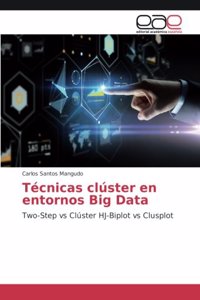 Técnicas clúster en entornos Big Data