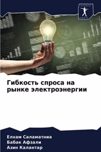 Гибкость спроса на рынке электроэнергии