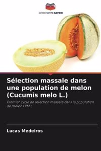 Sélection massale dans une population de melon (Cucumis melo L.)