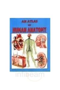 An Atlas Of Human Anatomy