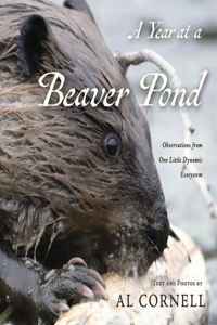 Year at a Beaver Pond