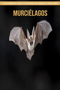 Murciélagos