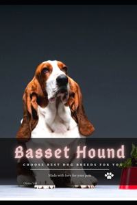 Basset Hound