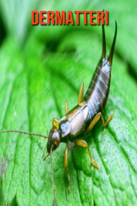 Dermatteri