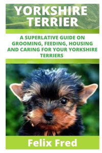 Yorkshire Terriers