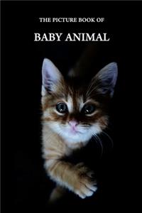 The Picture Book of Baby Animal