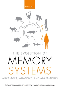 Evolution of Memory Systems