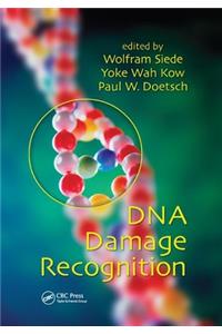 DNA Damage Recognition