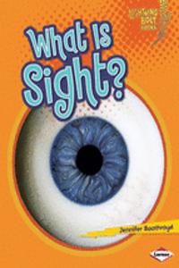 What is Sight?