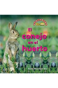 Conejo En El Huerto (the Rabbit in the Garden)