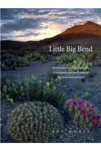 Little Big Bend