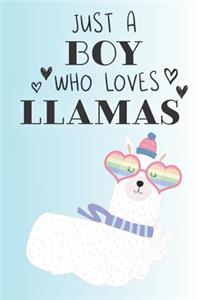 Just A Boy Who Loves Llamas