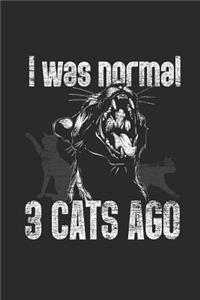 I Was Normal 3 Cats Ago