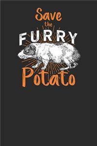 Save The Furry Potato
