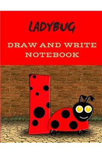 Ladybug