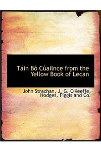 Tain Bo Cuailnce from the Yellow Book of Lecan