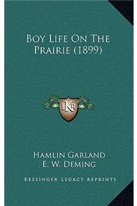 Boy Life On The Prairie (1899)