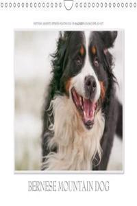 Emotional Moments: Bernese Mountain Dog. UK-Version 2018