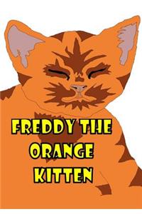 Freddy the Orange Kitten