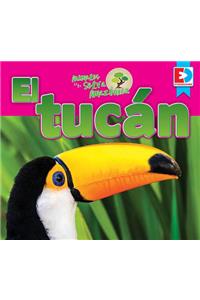 Animales de la Selva Amazónica -- El Tucán