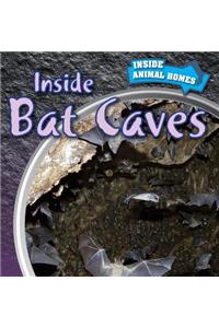 Inside Bat Caves