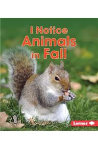 I Notice Animals in Fall