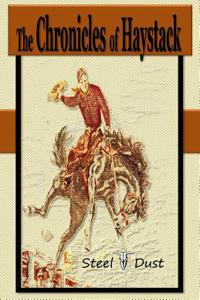 The Chronicles of Haystack: How It All Started