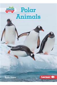 Polar Animals