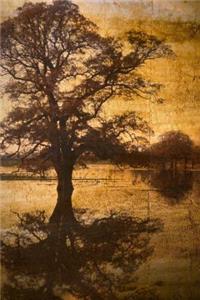 A View of a Tree on a Golden Morning Journal