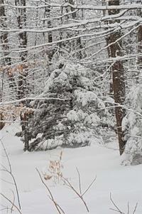 Journal Winter Weather Snowy Forest