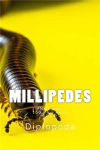 Millipedes