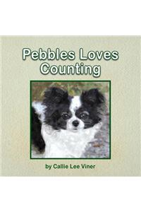 Pebbles Loves Counting