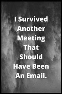 I Survived Another Meeting that Should Have Been an Emai