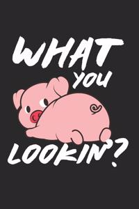 Pig Notebook