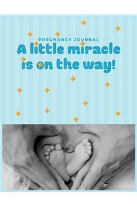 Pregnancy Journal A little miracle is on the way