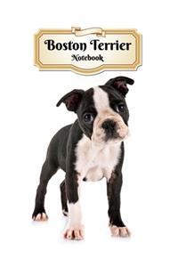 Boston Terrier Notebook