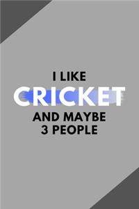 I Like Cricket And Maybe 3 People