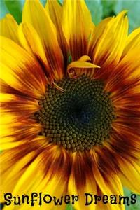 SUNFLOWER Dreams