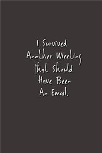 I Survived Another Meeting That Should Have Been An Email.