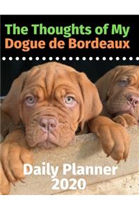 The Thoughts of My Dogue de Bordeaux