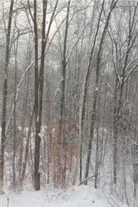 2020 Weekly Planner Winter Forest Bare Trees Snowy Groundcover 134 Pages