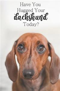 Have You Hugged Your Dachshund Today?