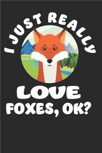 I just Really Love Foxes, Ok?