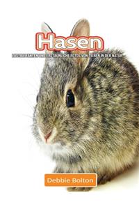 Hasen