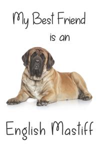 My best Friend is an English Mastiff